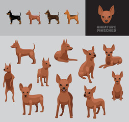 Fototapeta premium Dog Miniature Pinscher Brown Coat Cartoon Vector Illustration Color Variation Set 