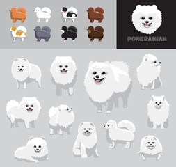 Dog Pomeranian White Coat Cartoon Vector Illustration Color Variation Set