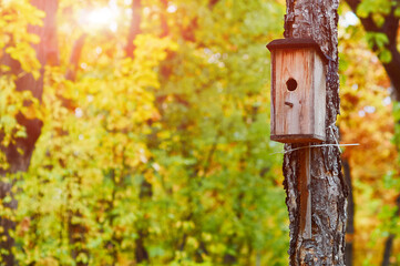 Birdhouse in autumn park. Wooden birdhouse during golden autumn on a tree in the forest. Sunshine through golden leaves. Copy space. Selective focus. The concept of helping animals.