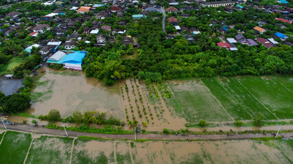 Aerial view of paddy fields or agricultural areas affected by rainy season floods. Top view of a river flowing after heavy rain and flooding of farm fields in rural villages. Climate change concept
