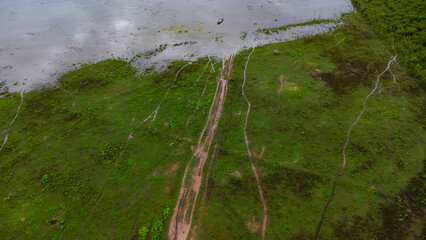 Aerial view of green pasture affected by rainy season floods. Top view of the river flowing after heavy rain and flooding of fields or grazing in rural. Climate change concept.