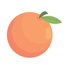 orange fruit fresh