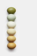 Close-up view of raw chicken eggs in row. Creative minimal photo made of eggs on white background. Color gradient olive and brown colored, neutral color tones. Food trend concept. Top view