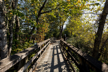 bridge over Kanaka Creek in the forest