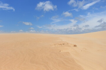 Fototapeta na wymiar Sand hills near the city of Santa Cruz de la Sierra Bolivia