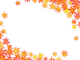 Obraz premium もみじのフレーム④ななめ_舞う_白背景