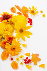 autumn flowers and leaves on white paper background
