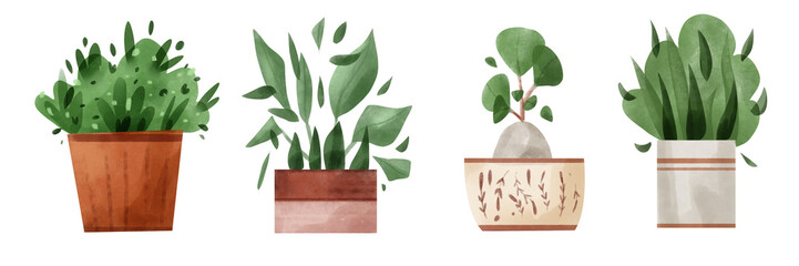 Watercolor houseplant set illustration on white background. Indoor decor in watercolor style. Monstera, ficus, succulent, bushes. 