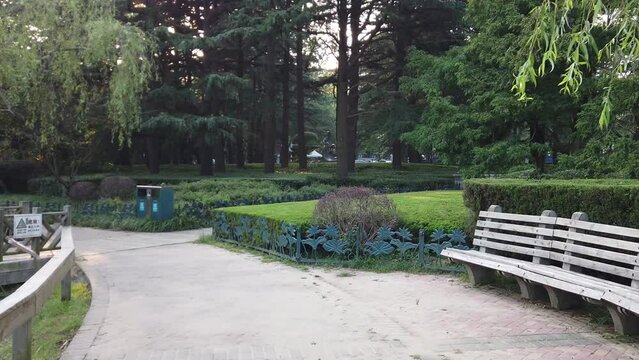 4K city garden garden landscape