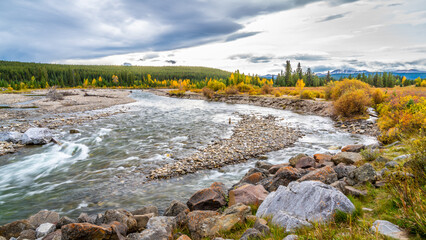 Fall Colors at the Smokey River near Grand Cache Alberta, Canada