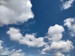 Fototapeta premium 東京のそら(22.10.4)