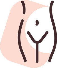 Human hips, illustration, vector on a white background.