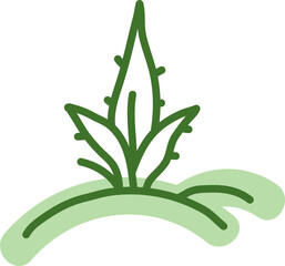 Black succulent, illustration, vector on a white background.