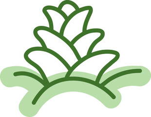 Fascinated haworthia, illustration, vector on a white background.