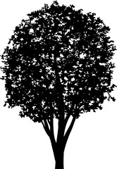 Fototapeta premium Tree silhouettes for landscape design. PNG illustration.