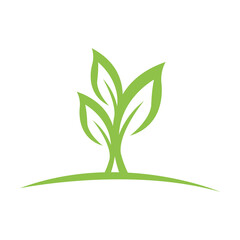 Leaf logo design. Icon leaf for your business. Natural concept