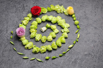 Fototapete bei efototapeten.de bestellen   