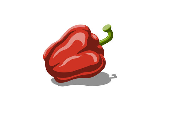 red bell pepper