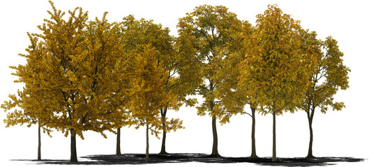 treeline autumn arch viz trees 