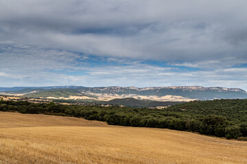 Cereal field, forest, mountains and blue sky with clouds. From Irache to Azqueta, Navarra, Spain. Santiago's road.