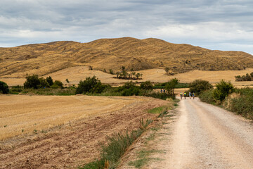 French Way of Saint James with pilgrims, cereal fields and high mountains from Villamayor de Monjardín to Los Arcos, Navarra, Spain.