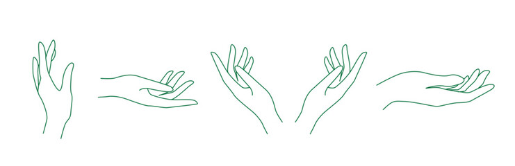 hand line art for cosmetic products packaging 