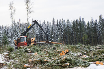 Forwarder with logs hanging in the crane