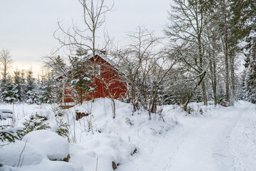 Red cottage in a snowy forest