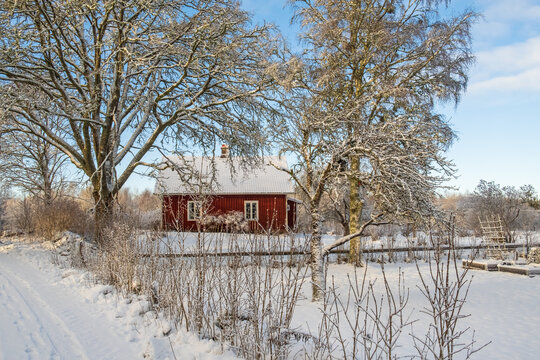 Red cottage by a road in snowy winter landscape