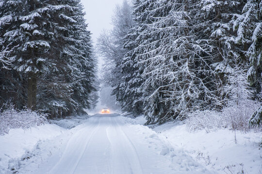 Car on a snowy road in the forest