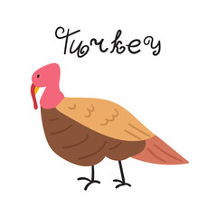 Turkey. Hand drawn flat vector illustration.