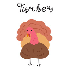 Cute turkey bird. Illustration on white background.