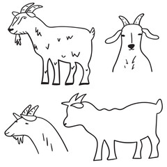 Set of goats. Outline icons. Farm animal. Hand drawn illustrations on white background.