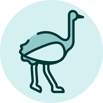 recommend clip art: Wild ostrich, illustration, vector on a white background.