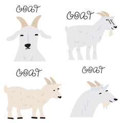 Goats. Flat icons. Farm animals. Vector illustrations on white background.