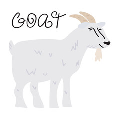 Flat illustration. Farm animal. Goat. Vector hand drawn illustration.