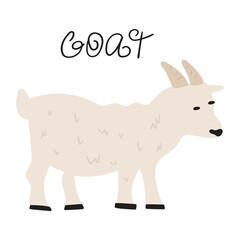 Goat. Vector hand drawn illustration. 