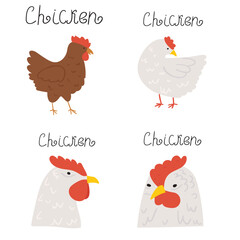 Collection of chickens. Flat vector illustrations on white background.