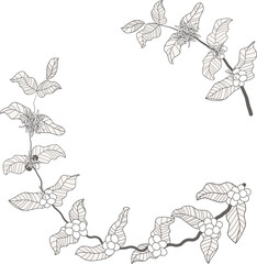 minimal doodle line art coffee branch and ribbon wreath frame
