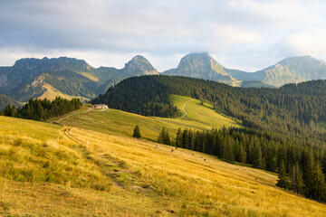 Hilly landscape with forests and meadows in the Gurnigel area, Bern, Switzerland