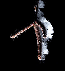 White snowflakes on a branch with birch seeds isolated on a black background.