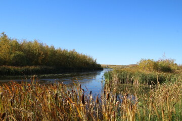 lake in autumn
