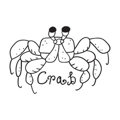 Crab. Outline icon. Vector graphic design. Hand drawn illustration.