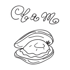 Clam. Outline illustration. Seafood. Hand drawn vector icon. Graphic design on white background.