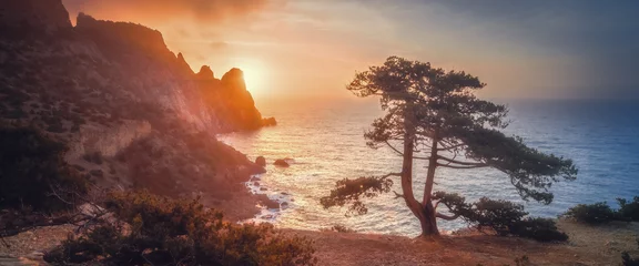 Erstaunlicher Baum, der bei Sonnenuntergang aus dem Felsen wächst. Farbige Landschaft mit altem Baum mit grünen Blättern, blauem Meer, Bergen und Himmel mit Sonne am Abend. Sommerreisen auf der Krim. Naturhintergrund © andreyphoto63