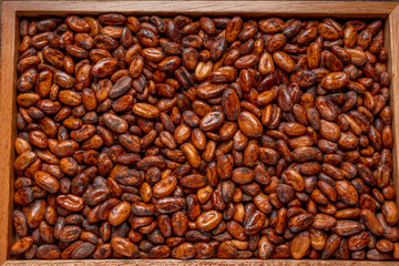 Cocoa beans on wooden plate, Aromatic, Roasted Cocoa beans in wooden background.