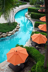 Obraz premium Outdoor swimming pool overlooking tropical gardens and sun loungers with umbrellas.