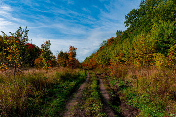 Walking through the autumn forest in Samarskaya Luka National Park!