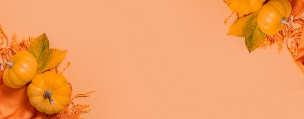 Autumn monochrome flat lay composition. Copy space. Autumn flat lay composition with two pumpkins fallen leaves