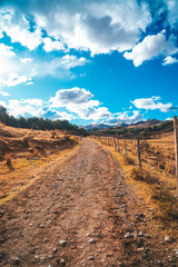 Campo y viaje